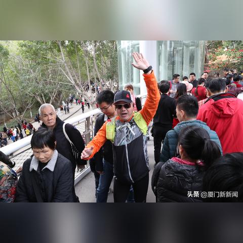 厦门市政开发工资怎么样