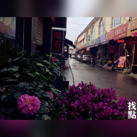 南宁花鸟市场成都的相关长尾关键词有哪些