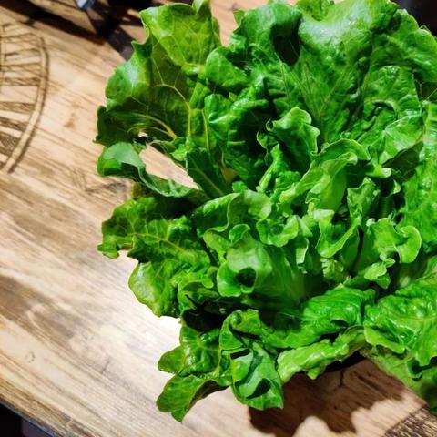 南宁市可以钓鱼的乡村旅游区？