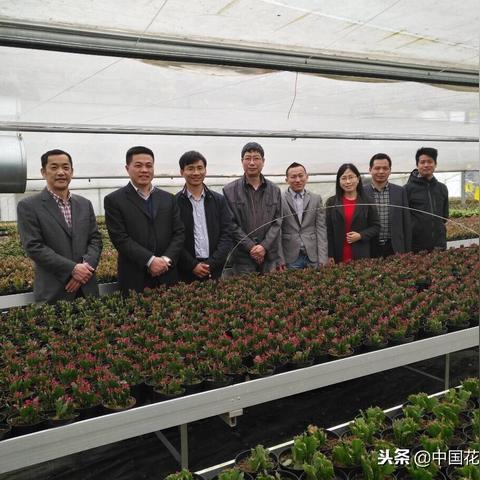 宁波园艺培训的相关长尾关键词有哪些