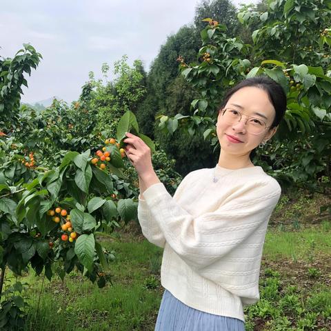 杭州市许家村是哪个区的