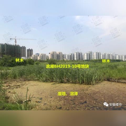 合肥市哪个加油站最便宜