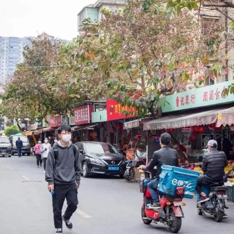厦门市有多少路公交车