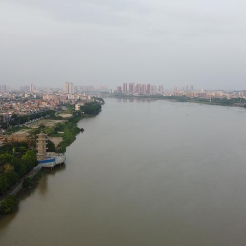 东莞市新城公交站在哪里