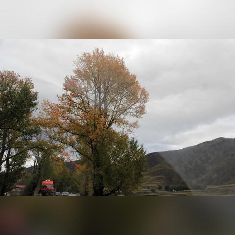 成都市到康定怎么坐车