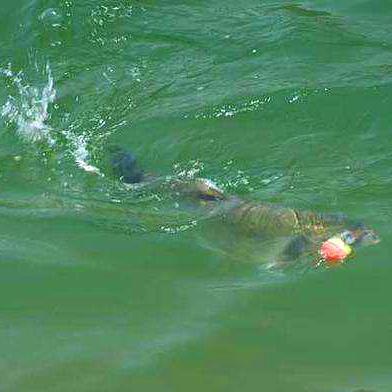 武汉纳米的长尾关键词有什么