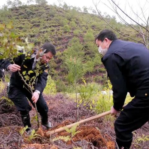 福建省大学生村官好吗的相关长尾关键词有哪些