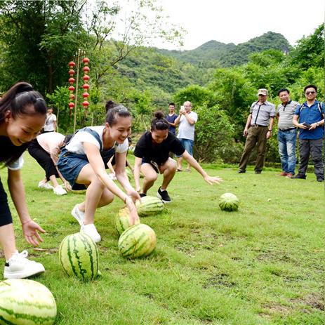 西瓜足球玩具怎么玩视频