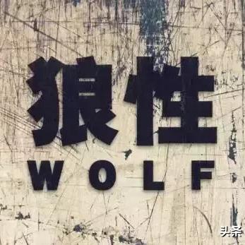 狼性总裁之双候女的长尾关键词有什么