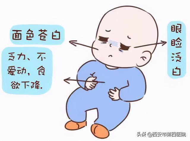 喂养不当会导致孩子贫血