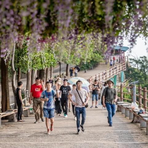 东莞市哪里有景区