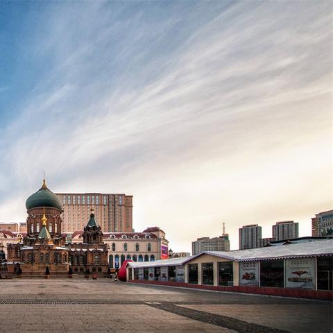 哈尔滨市哪些省的省会