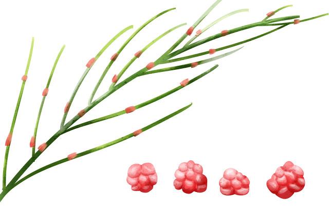 夏季宝宝皮肤瘙痒怎么回事