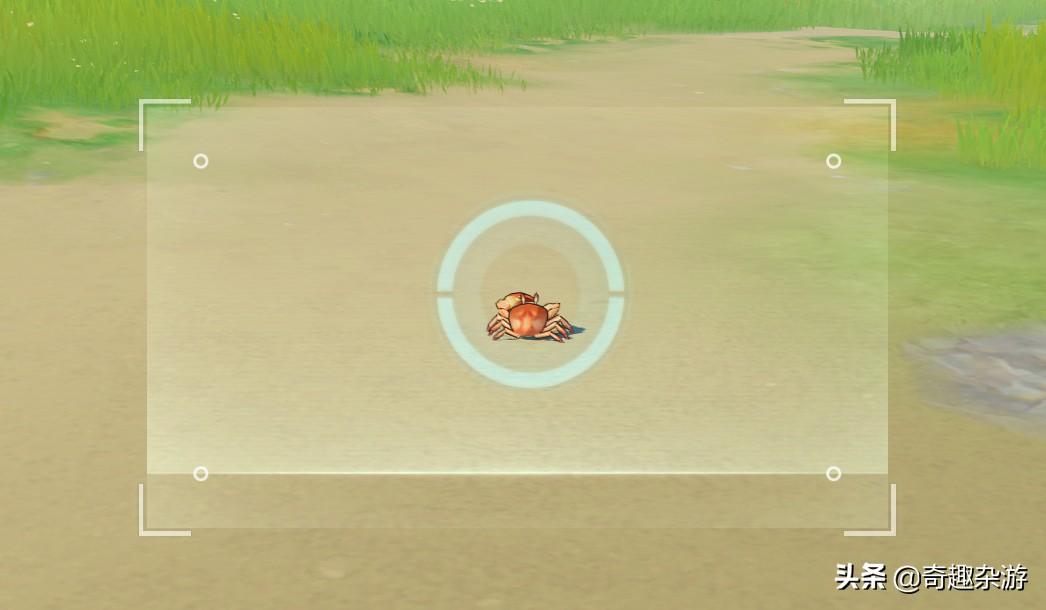 原神的颜色怎么换（蕈兽培养怎么进入）