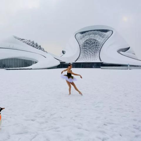 哈尔滨文旅怎么火的？