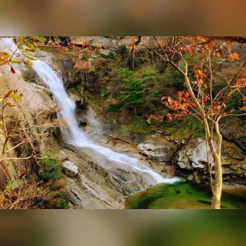 长春市回收二手地毯电话的长尾关键词有什么