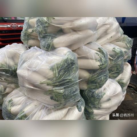 江苏苏州市是什么温度