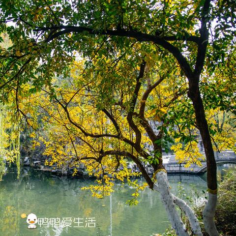 济南市的免费景点有哪些