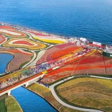 南通荷兰街美食长尾关键词有什么