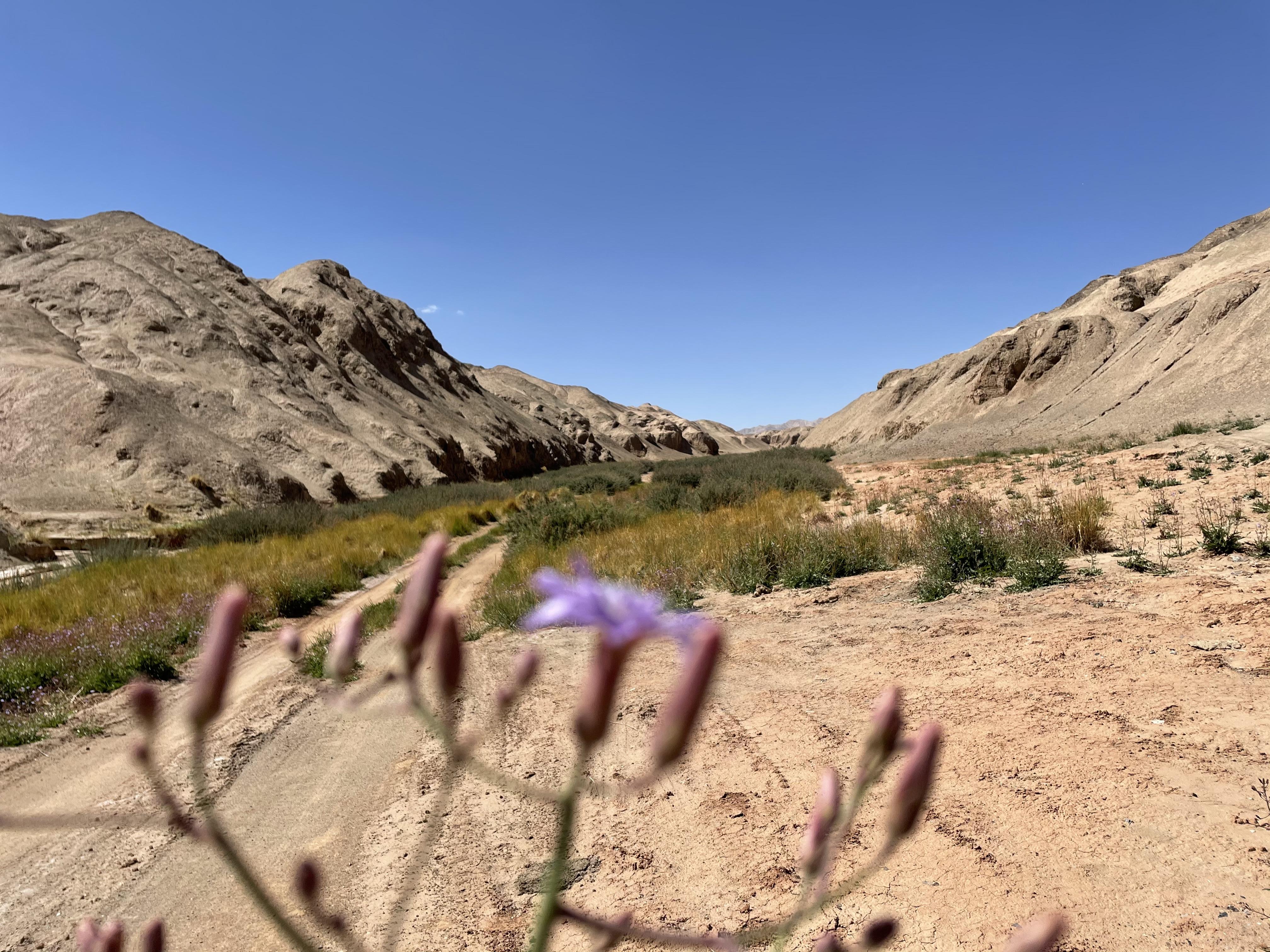 新疆疫情最新通知
(新疆疫情最新通知今天) 新疆疫情最新通知
(新疆疫情最新通知今天)