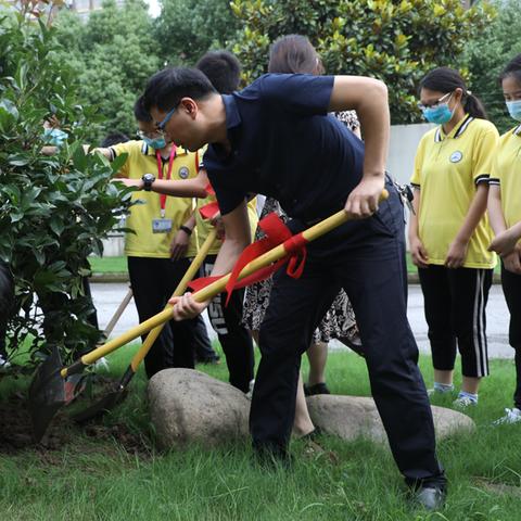 苏州市市花叫什么名字