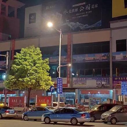 桂林市有什么鸟