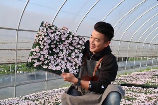 直播间的花花世界：一颗多肉卖到14万，小众爱好也能做成大生意