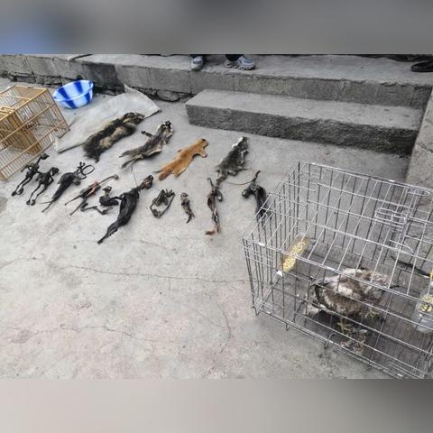 贵州省高考公布网站相关长尾关键词有哪些