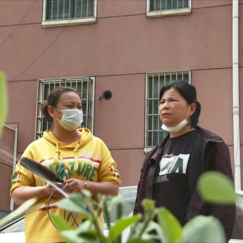 临沂市河东区绿化管理站的长尾关键词有哪些