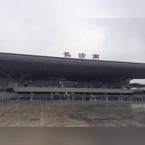 长沙市花是什么？