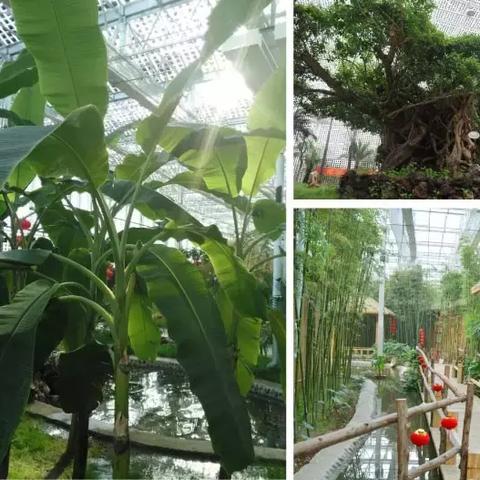保定市玻璃店哪里有