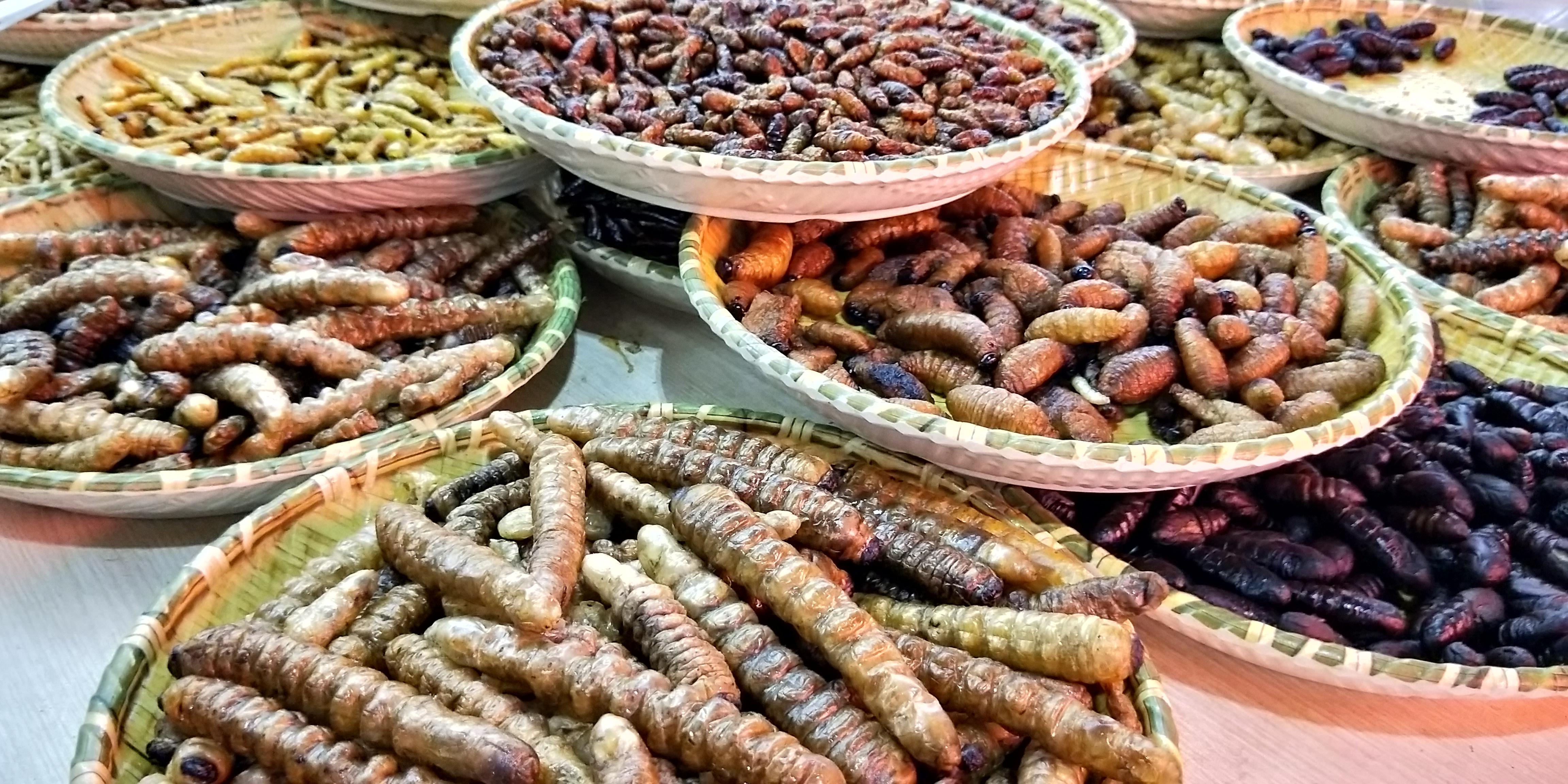 云南家乡美食有什么（少数民族的美食你吃过哪些）