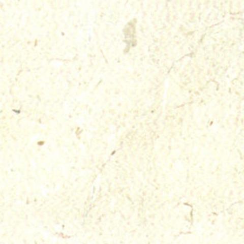 东莞市干货店在哪里进货