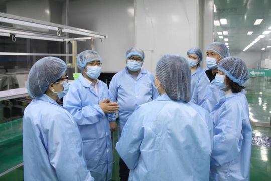 合肥高新区四日“游”，这两家央媒来啦~