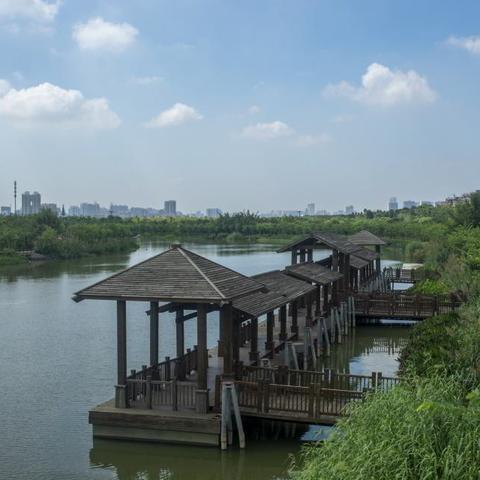 广州海珠湖公园附近有什么吃？