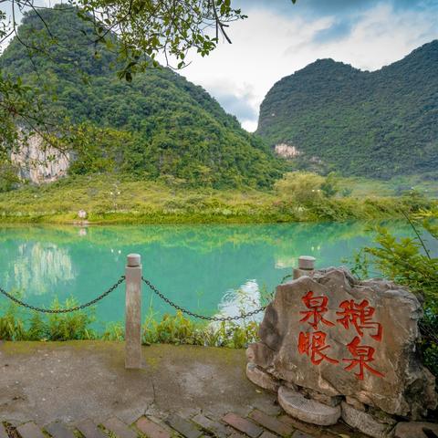 桂林绿色饲料价钱表相关长尾关键词有哪些