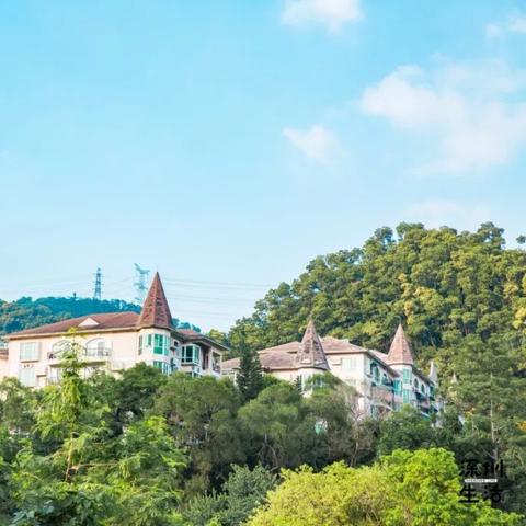 深圳市哪个区街道最繁华