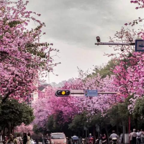 桂林街道分类垃圾相关长尾关键词有哪些