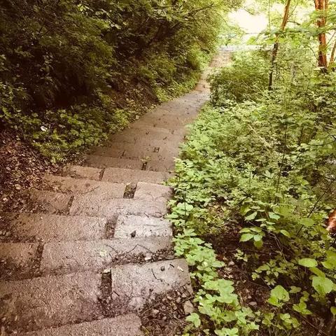 自驾兰州进九寨沟路好走吗？