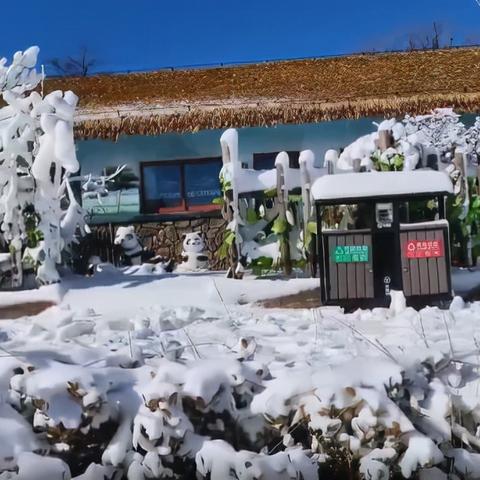 济南市大雪什么时候来