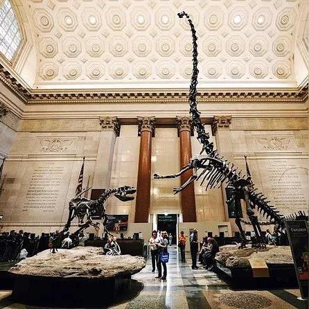 【天津自然博物馆地铁几号线】长尾关键词有什么