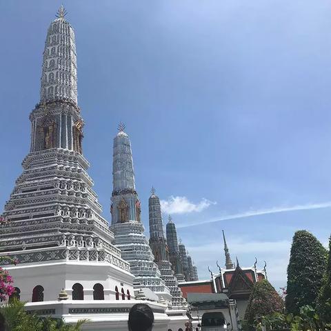 不夜城电影国语免费观看的长尾关键词有什么