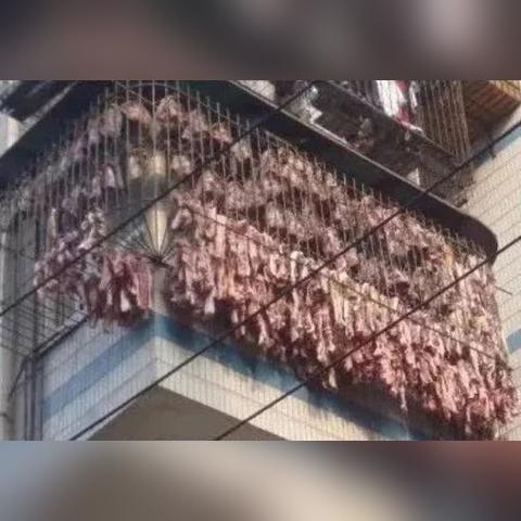 南宁市毕业生就业补贴怎么领