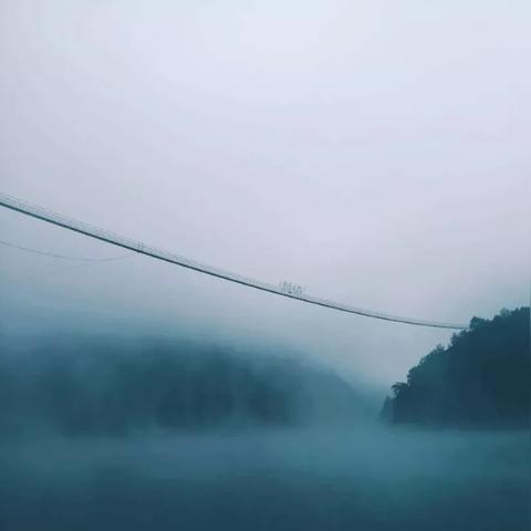 温州市哈狗俱乐部怎么样