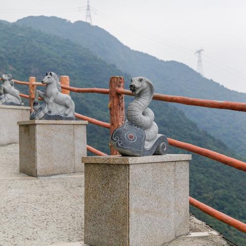 东莞市瑜伽公司有哪些