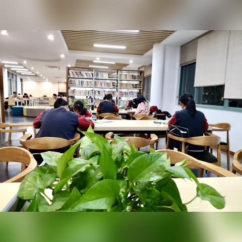 军训才艺足球比赛视频的长尾关键词有什么