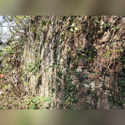 桂林市宝贤中学归那个教育局管啊？