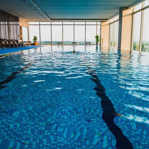 哈尔滨宠物游泳池相关长尾关键词有哪些