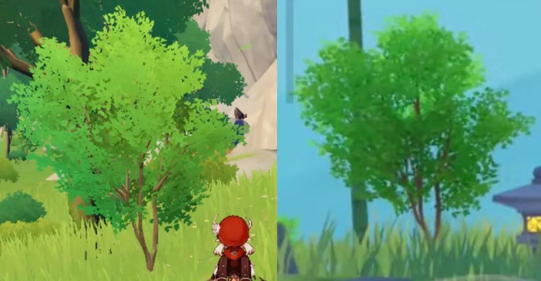 原神桦树怎么调配（原神桦木什么地方最多）