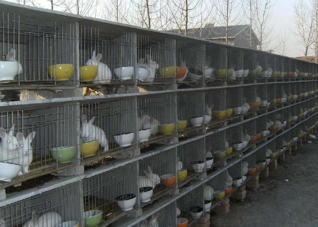 农村在家有什么副业 在家有什么创业项目